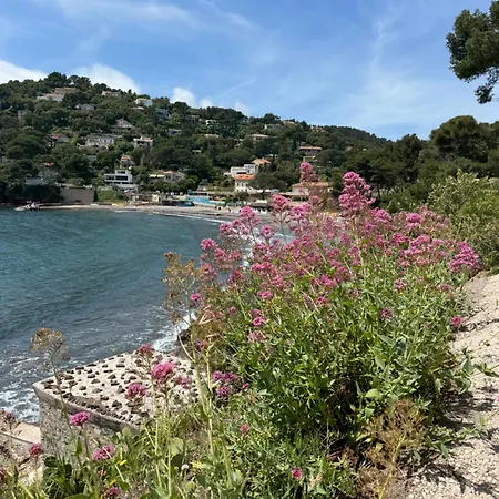 Chemin Du Bord De *